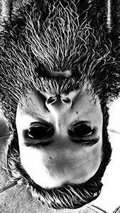 Meet your Posher, Spencer